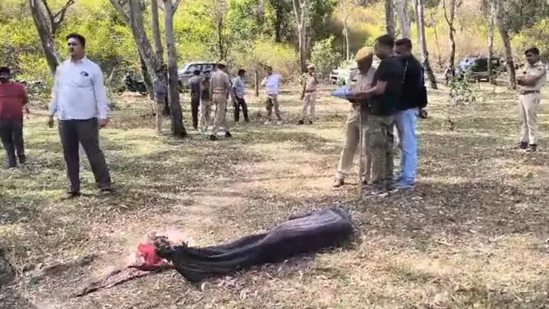 माउंट आबू के जंगलों में युवक का शव मिलने से हड़कंप, तेंदुए के हमले की आशंका, जंगलों में जाने पर रोक