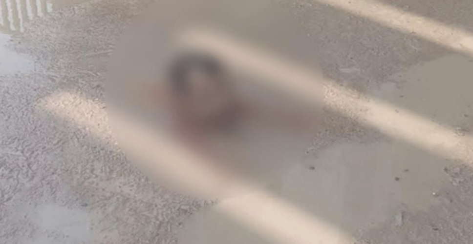 अररिया घटना पर तेजस्वी यादव ने नीतीश कुमार पर साधा निशाना, कहा- 'कानून-व्यवस्था पूरी तरह चरमरा गई है'