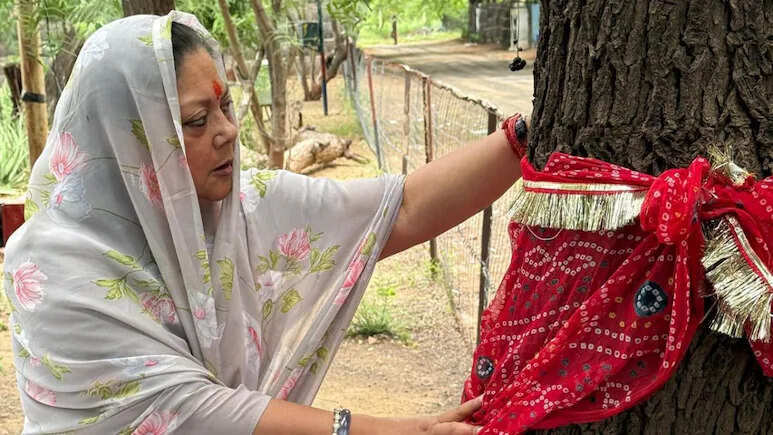 बीकानेर में खेजड़ी बचाओ आंदोलन तेज, साधु-संन्यासी आमरण अनशन पर बैठे; वसुंधरा राजे ने जताया समर्थन