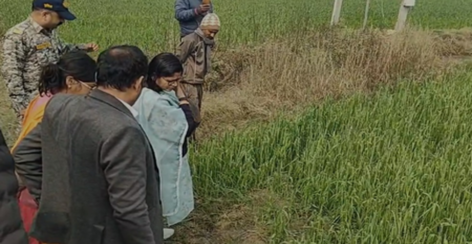 ग्वालियर में भारी ओलावृष्टि से रबी फसलें तबाह, प्रशासन कर रहा आकलन