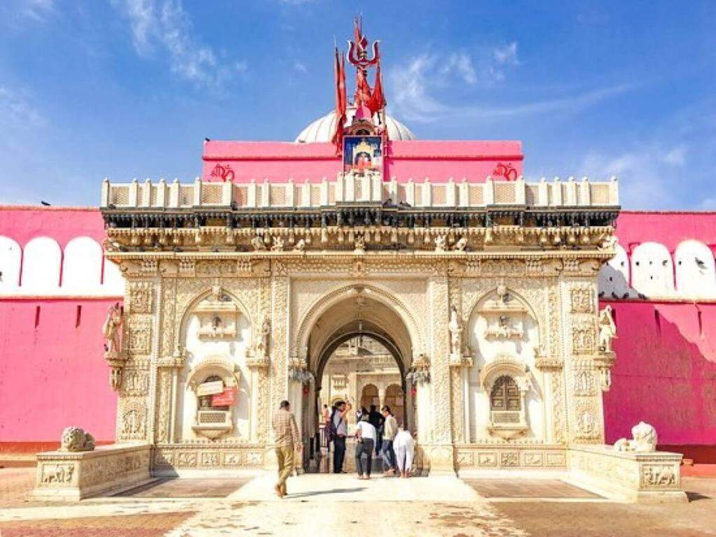 करणी माता मंदिर, बीकानेर: जहां 25 हजार से ज्यादा चूहे हैं आस्था का केंद्र