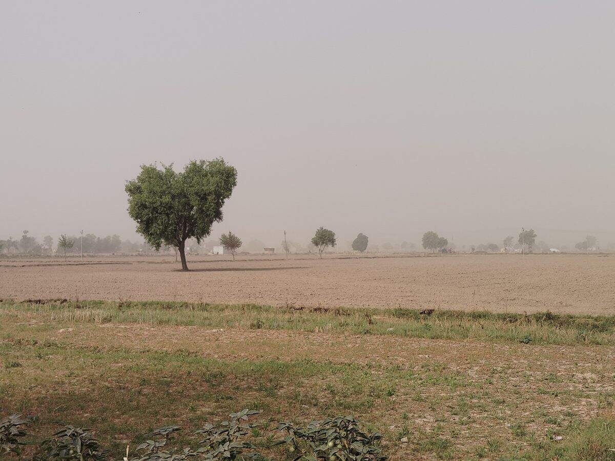 राजस्थान में बदला मौसम: कहीं बारिश-ओलावृष्टि तो कहीं धूलभरी आंधी, फुटेज में जाने भरतपुर में ट्रांसफार्मर को ठंडा रखने के लिए लगाए कूलर