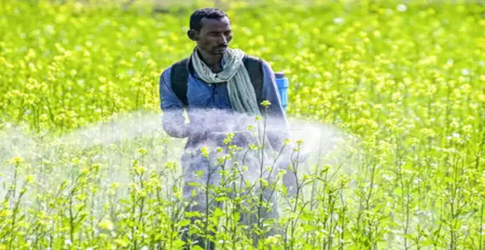 रबी फसलों की बुआई का कुल क्षेत्रफल बढ़कर 650 लाख हेक्टेयर के पार