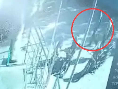 अलवर में कॉलेज परिसर में छात्रा के साथ छेड़छाड़, वीडियो में जानें विरोध करने पर पीटा, सीने पर लात मारी