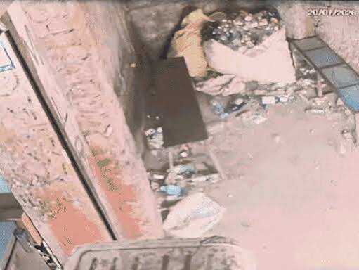 अलवर में लेपर्ड की दस्तक से दहशत: कुत्तों का शिकार करने पहुंचा तेंदुआ, वीडियो में जाने बाउंड्री वॉल पर बैठा रहा, वन विभाग अलर्ट