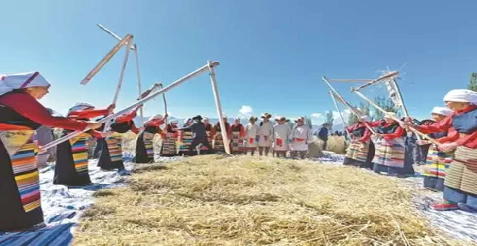 इस वर्ष शीत्सांग में अनाज का रिकॉर्ड उत्पादन