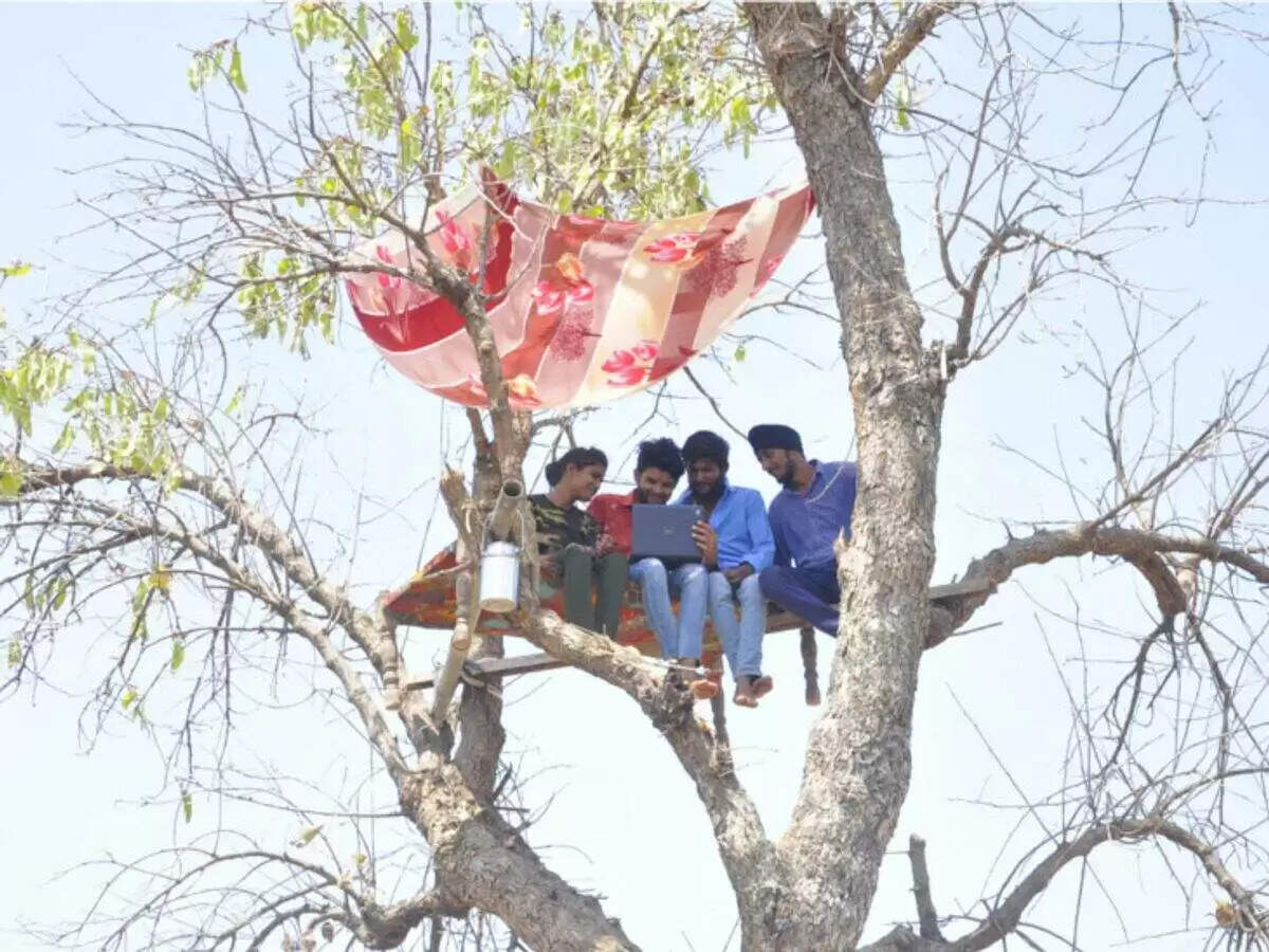 राजस्थान में डिजिटल योजनाओं का लाभ लेने को ग्रामीण मजबूर हैं पेड़ और छत पर चढ़ने को