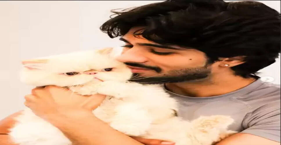 एक्टर जीशान खान की कार दूसरी गाड़ी से टकराई, सभी लोग सुरक्षित