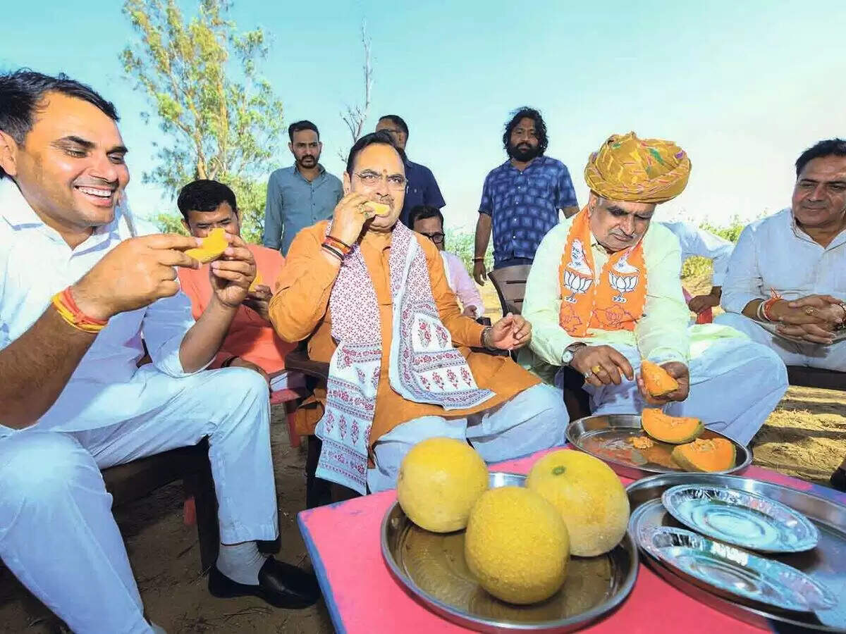 राजस्थान में यमुना जल समझौते को धरातल पर लाने की उठी मांग, फुटेज में देखें सांसद विधायकों ने सीएम को गिनाई पानी-बिजली की समस्या