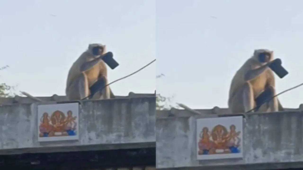 गुजरात के पाटन में अघर गांव की अनोखी घटना वायरल, वीडियो ने सोशल मीडिया पर मचाई हलचल