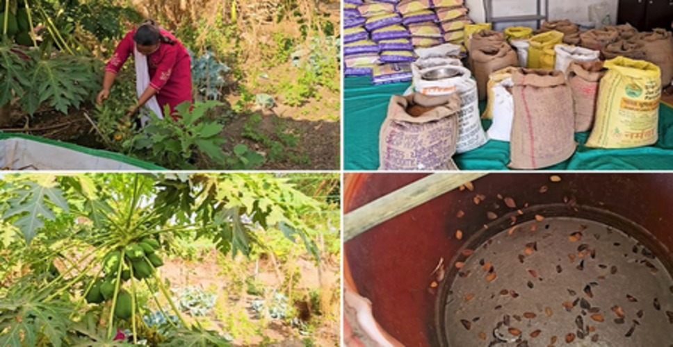 जीरो बजट फार्मिंग की मिसाल बनीं तापी की महिला किसान अरविंदाबेन, उगा रहीं 22 फसलें