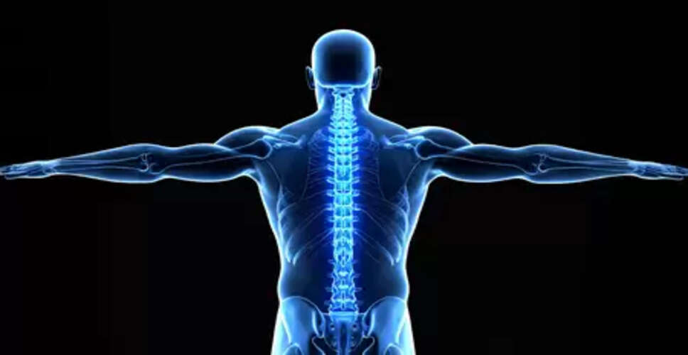 जापान के शोधकर्ताओं ने स्टेम सेल्स की मदद से किया रीढ़ की हड्डी के फ्रैक्चर का इलाज