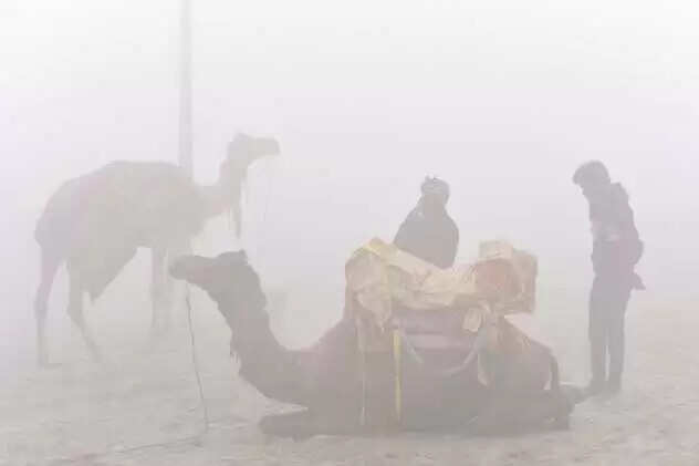 राजस्थान में शीतलहर का सितम, वीडियो में जानें शेखावाटी में पारा 2 डिग्री से नीचे, फसलों पर पाले का खतरा बढ़ा