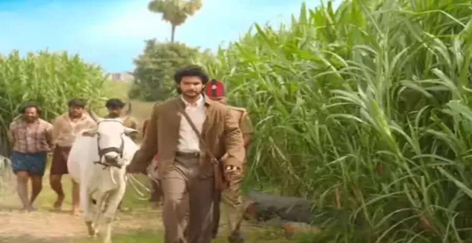 तेलुगु के बाद अब हिंदी में रिलीज होगी 'शम्भाला', ऋषभ शेट्टी ने फिल्म का ट्रेलर किया लॉन्च