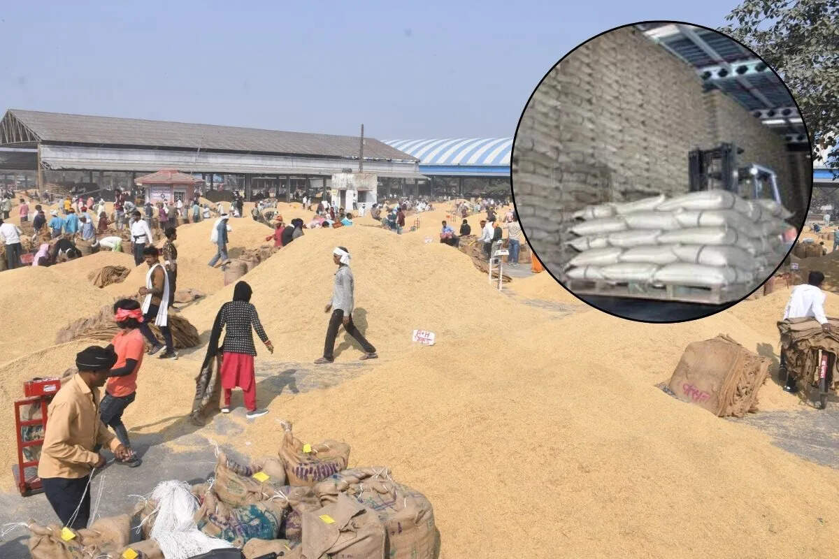 भामाशाह मंडी में भारी आवक, लहसुन-गेहूं के भाव में उतार-चढ़ाव