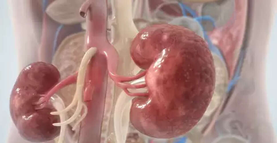 सर्दियों में किडनी की सेहत पर बढ़ सकता है खतरा, जानें कैसे रहें सुरक्षित