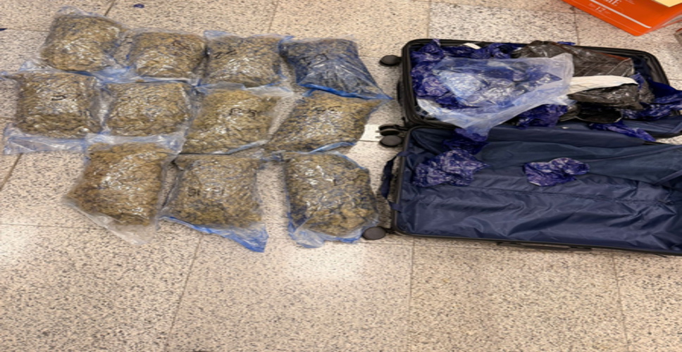 हैदराबाद एयरपोर्ट पर डीआरआई और कस्टम्स की बड़ी कार्रवाई, 8.9 करोड़ की हाइड्रोपोनिक वीड जब्त