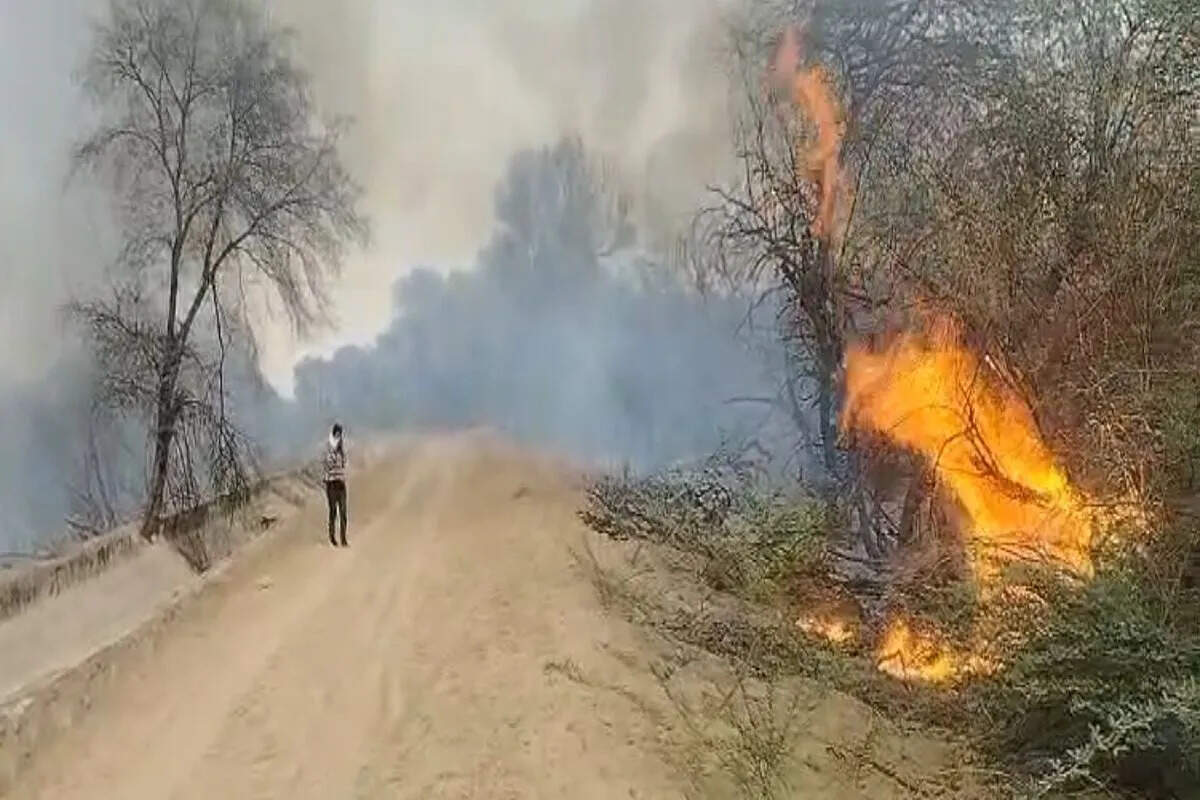 मोहनगढ़ नहरी क्षेत्र में भीषण आग, दो किलोमीटर तक वनस्पति जलकर राख