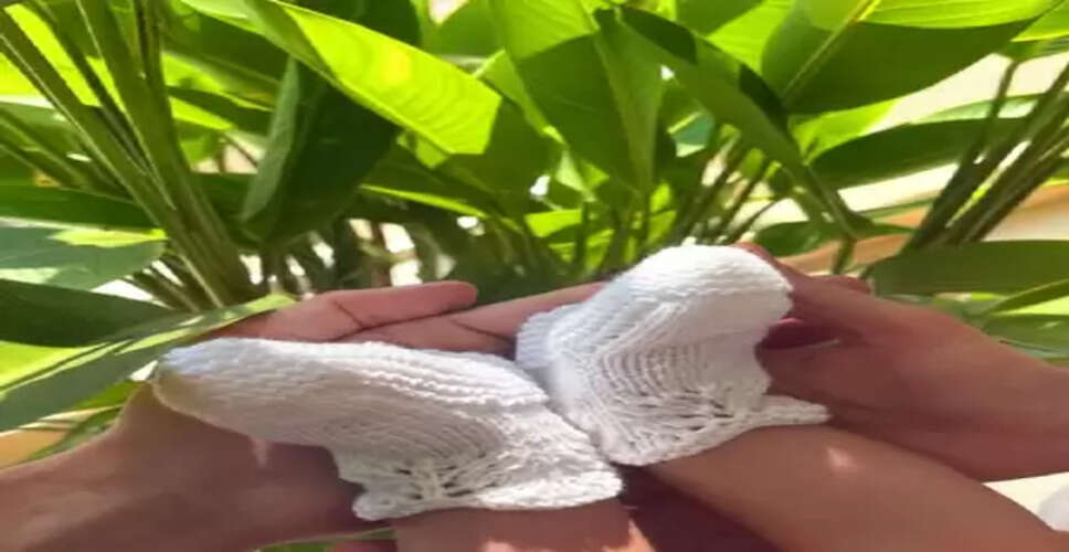 सिंहावलोकन 2025 : बॉलीवुड के इन सेलिब्रिटी कपल्स के घर खुशियों ने दी दस्तक