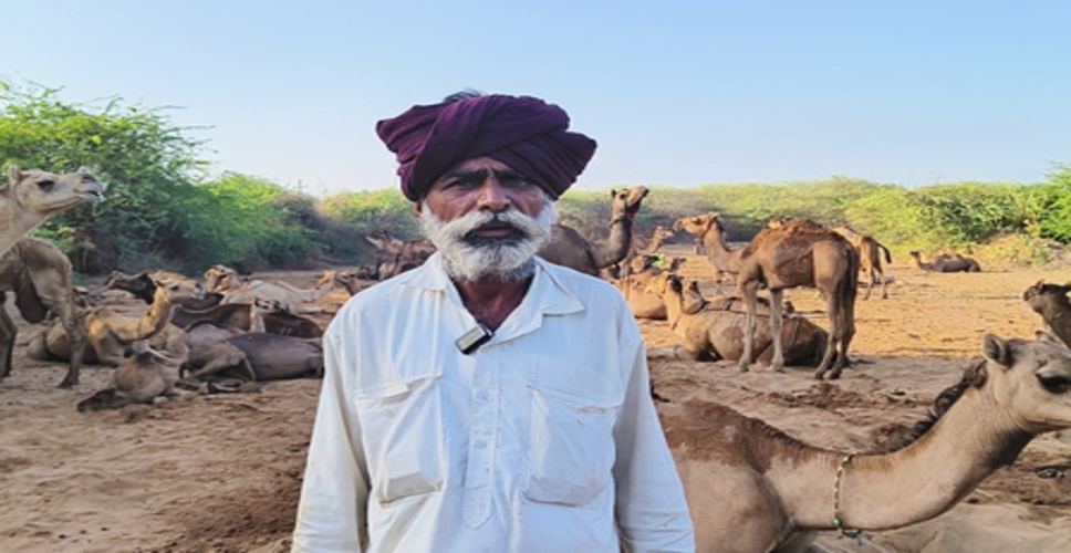 गुजरात: कच्छ क्षेत्र में ऊंटनी का दूध बन रहा आय का नया स्रोत