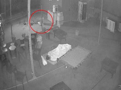 माउंट आबू के होटल में घुसा लेपर्ड, वीडियो में जाने कर्मचारी के सामने किया कुत्ते का शिकार; युवक ने सूझबूझ से बचाई जान