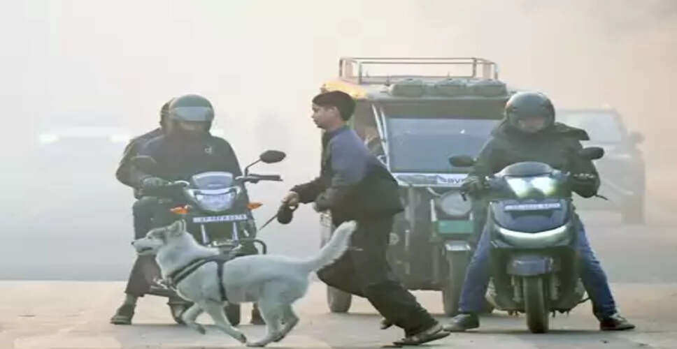 दिल्ली-एनसीआर में कड़ाके की ठंड और जहरीली हवा की दोहरी मार, हालात गंभीर