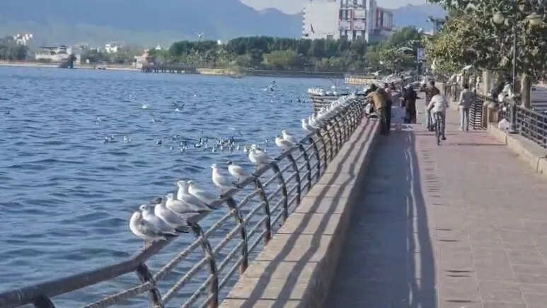 अजमेर की ऐतिहासिक आनासागर झील को प्राकृतिक स्वरूप में लौटाने के प्रयास तेज, वासुदेव देवनानी ने किया दौरा