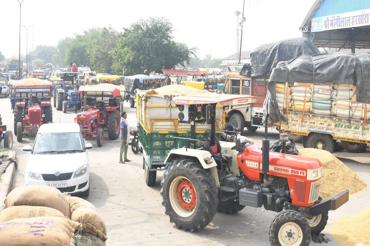 भामाशाह मंडी में कृषि उपज की आवक: उड़द में उछाल, गेहूं और सोयाबीन में मंदी