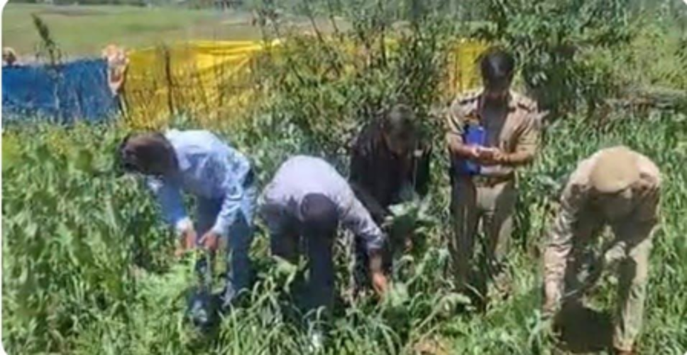 जमुई में एसएसबी के सर्च अभियान में जंगल से हथियार व विस्फोटक बरामद