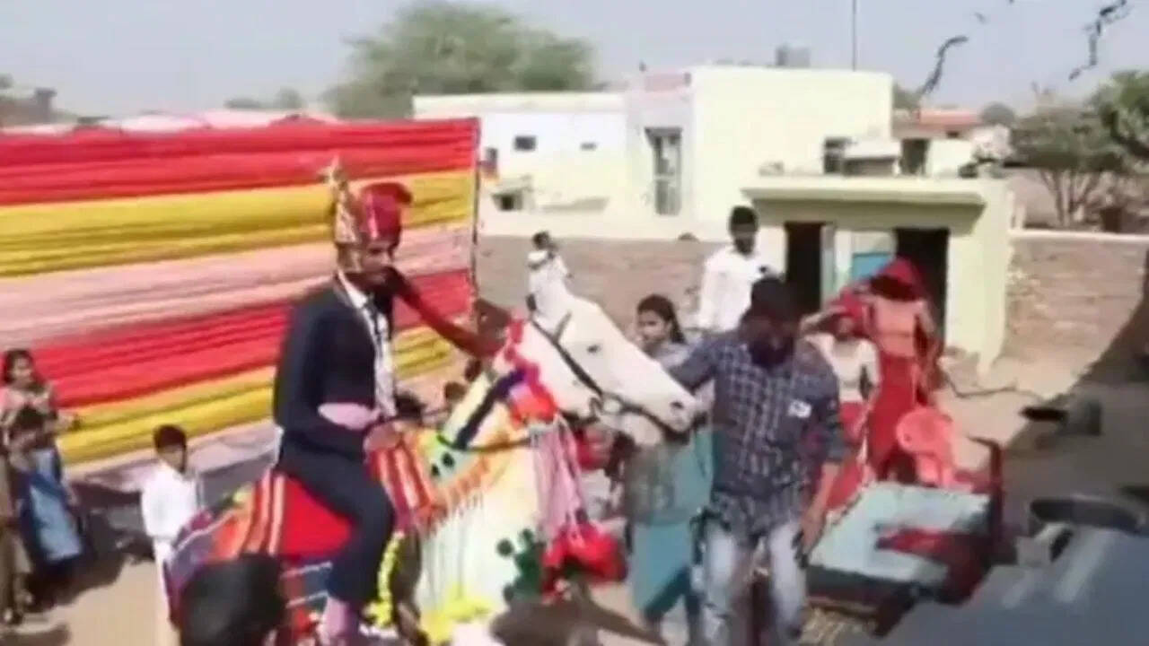 राजस्थान की शादी में हैरान कर देने वाला नज़ारा, घोड़ी पर सवार दूल्हा चढ़ा सीढ़ियां, वीडियो वायरल