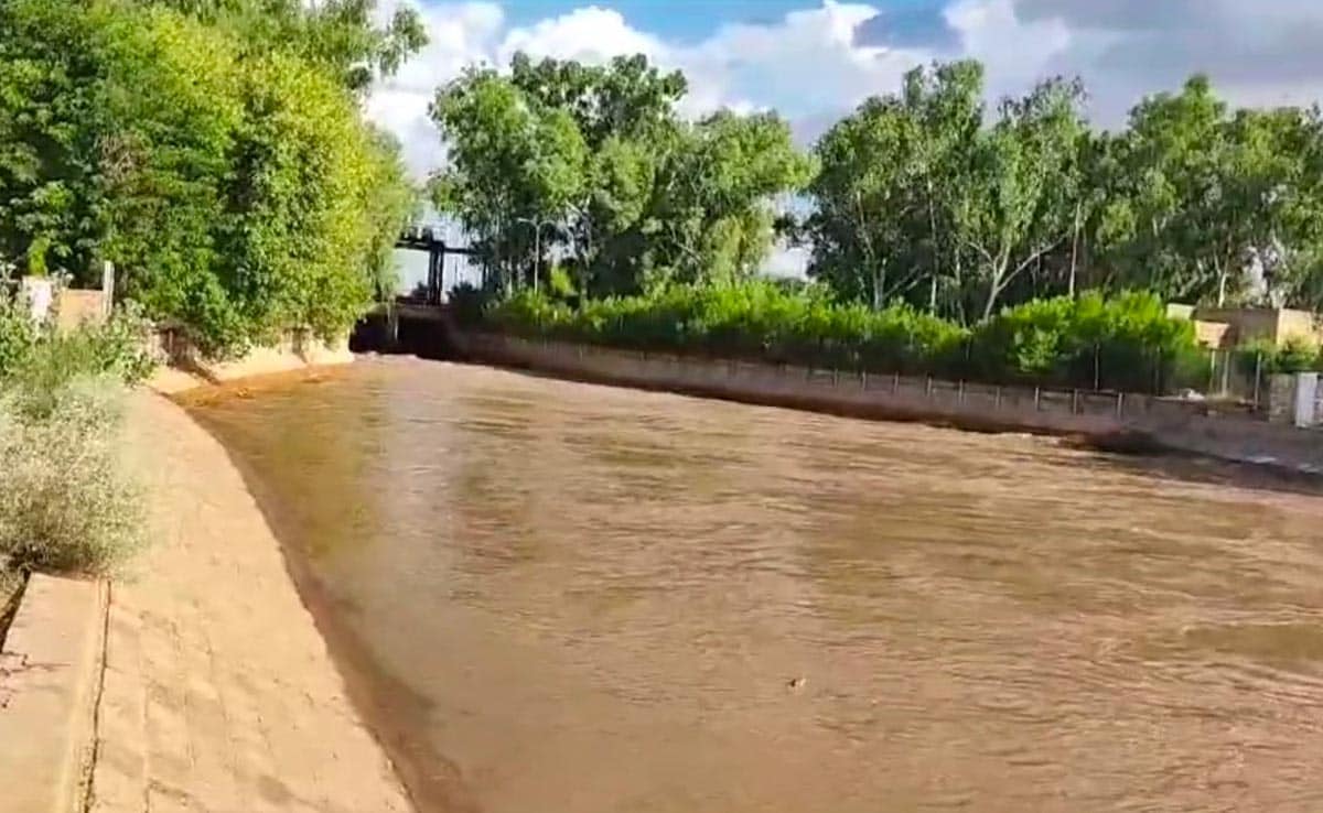 थार के रेगिस्तान में जीवन की धारा बनी इंदिरा गांधी नहर, इंजीनियरिंग का अद्भुत चमत्कार