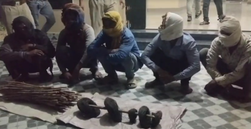 मध्य प्रदेश: बाघ के शिकार के आरोप में 5 लोग गिरफ्तार