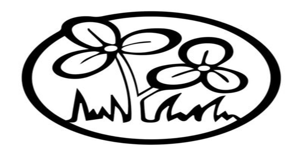 टीएमसी ने कोलकाता दक्षिण डीईओ के खिलाफ शिकायत की, आदर्श आचार संहिता के उल्लंघन का मामला