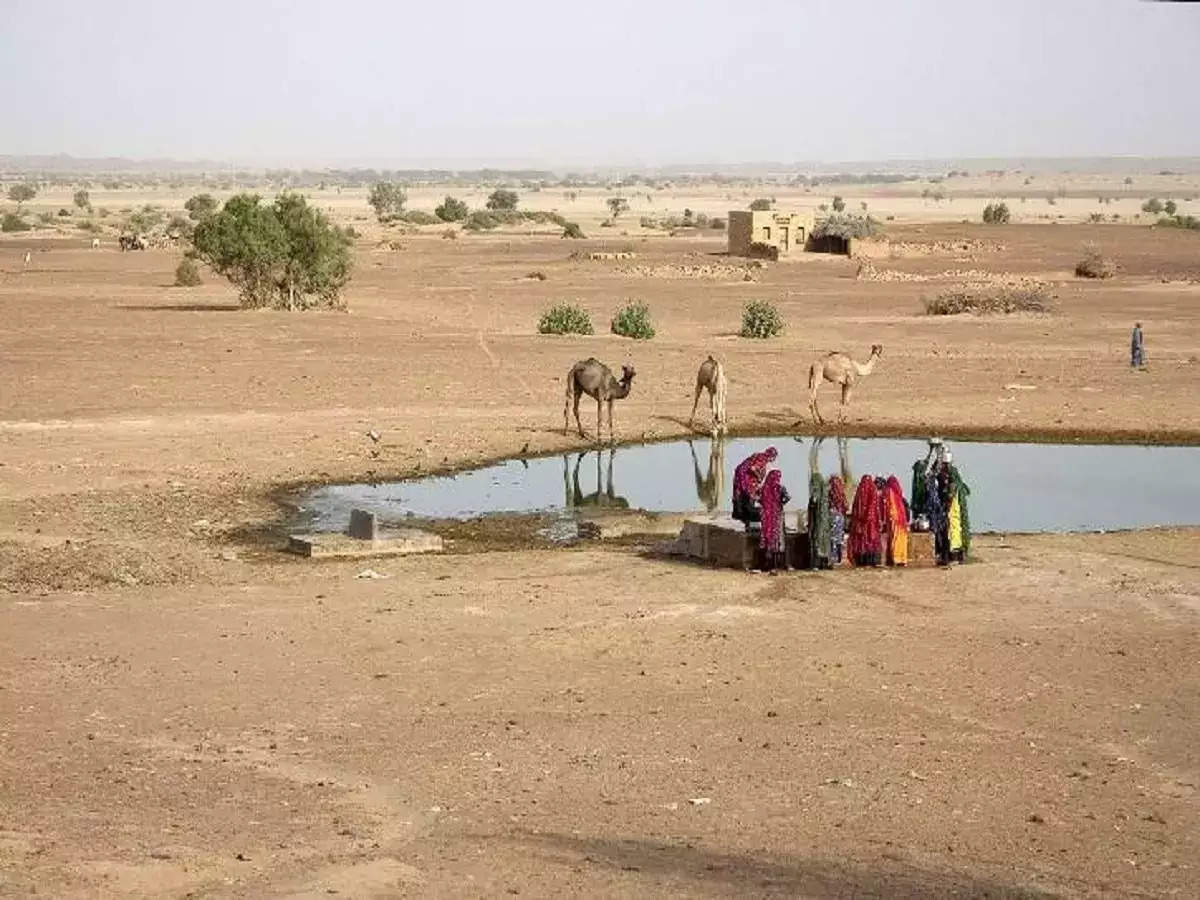 ...तो क्या सच में हरा-भरा नजर आएगा थार मरुस्थल ? कैसे बदल जाएगी पूरी दुनिया की तस्वीर, वीडियो देख नहीं होगा यकीन