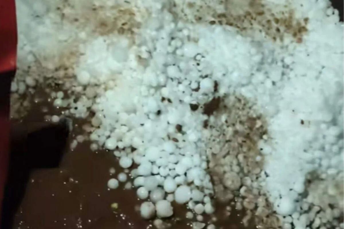 1 से 4 अप्रैल तक बदलेगा मौसम, कई जिलों में तेज आंधी-बारिश के आसार, पश्चिमी विक्षोभ से फिर सक्रिय होगा तूफानी सिस्टम