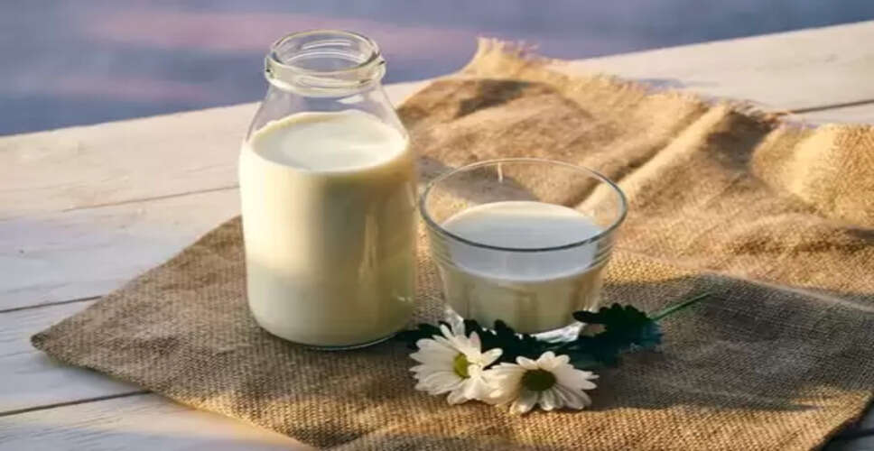 रात का हेल्थ बूस्टर है दूध, जानें सर्दी में कैसे करता है स्वास्थ्य की पूरी देखभाल