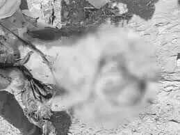 वीडियो में देखें झुंझुनूं के डंपिंग यार्ड में मिली नवजात बच्ची की लाश, गला घोंटकर हत्या की आशंका