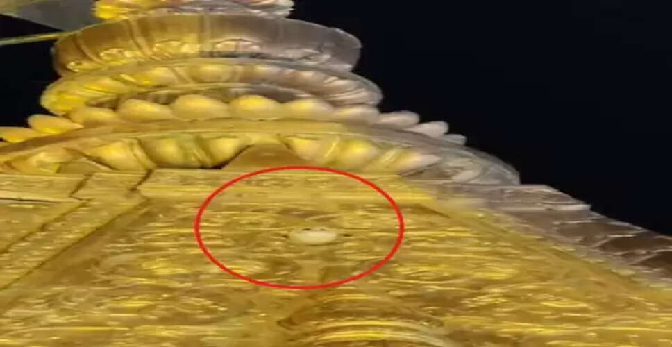 सिंहावलोकन 2025: कहीं मंदिर के शिखर पर चीलों ने डाला डेरा तो कहीं नजर आया सफेद उल्लू, 2025 में चर्चा में रहे ये धार्मिक स्थल