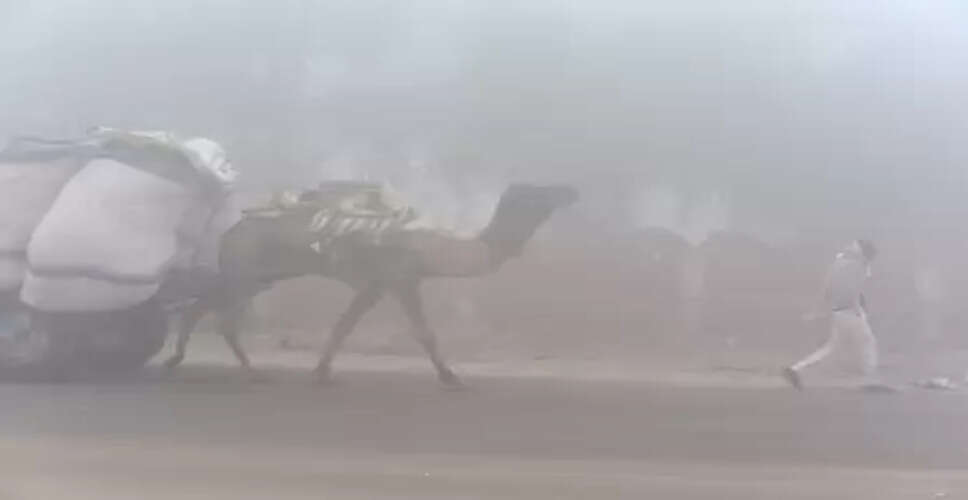 घने कोहरे ने धीमी की राजस्थान की गति, कम विजिबिलिटी से प्रभावित हुए लोग