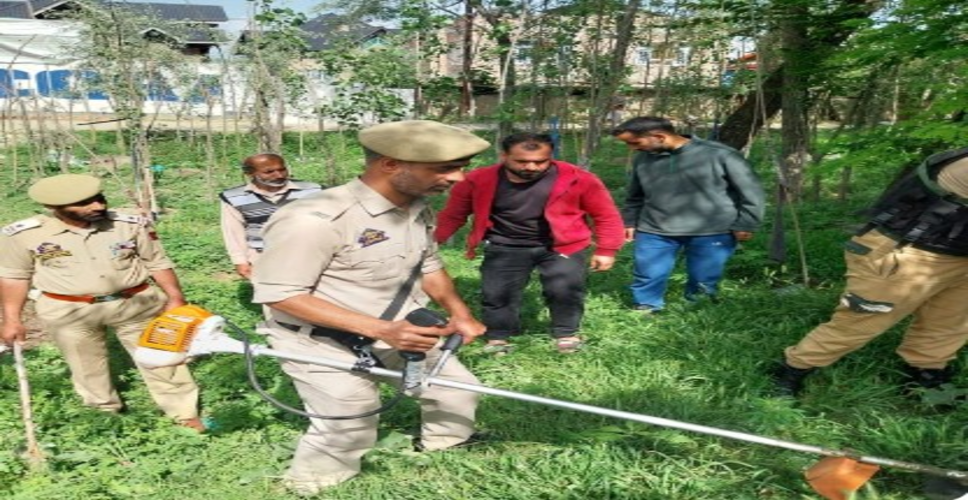 जम्मू-कश्मीर: 'नशामुक्त अभियान' के तहत बारामूला पुलिस ने भांग की खेती को नष्ट किया