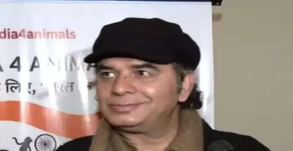 'वे भी भगवान का रूप', स्ट्रीट डॉग्स को रिलोकेट करने के मामले पर मोहित चौहान ने रखे विचार