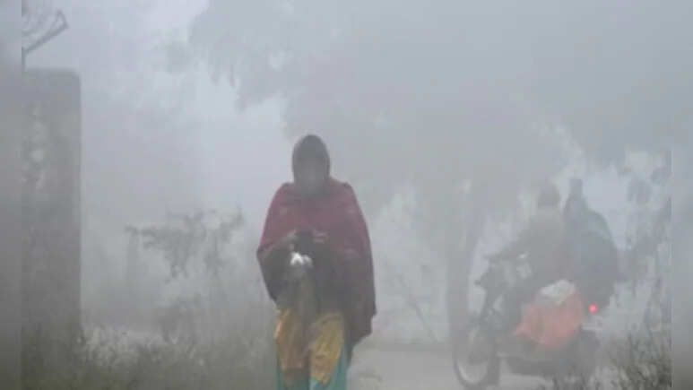 राजस्थान में शीतलहर से हाड़ कंपाने देने वाले ठंड, फतेहपुर में तापमान 3.5 डिग्री सेल्सियस