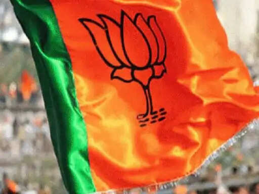 आरक्षण लॉटरी के बाद फाइनल होगा भाजपा का टिकट फॉर्मूला, इंटरनल सर्वे से तय होंगे पंचायत-निकाय प्रत्याशी