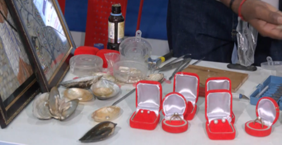 कम लागत में ज्यादा मुनाफा, रायसेन कृषि मेले में सिखाई जा रही मोती की खेती