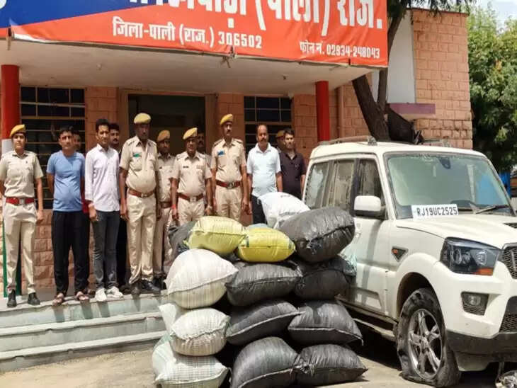 पाली में एएनटीएफ ने 4 क्विंटल 60 किलोग्राम डोडा पोस्त सहित स्कॉर्पियो जब्त, वीडियो में जानें कांटों लगी स्टॉपर स्टिक देख भागे तस्कर