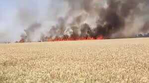 बारां में गेहूं के खेत में भीषण आग, 4 बीघा फसल जलकर राख; ग्रामीणों की सूझबूझ से बड़ा नुकसान टला