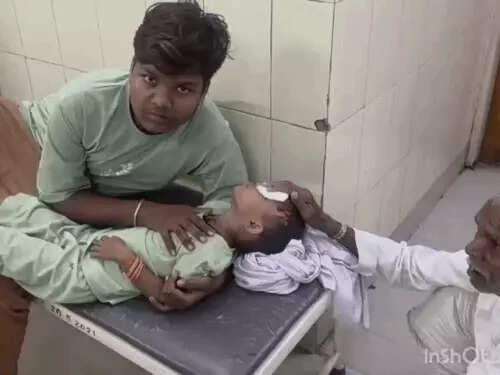 अलवर में आवारा कुत्ते का आतंक: 5 साल की बच्ची पर हमला, सिर में लगे 7 टांके