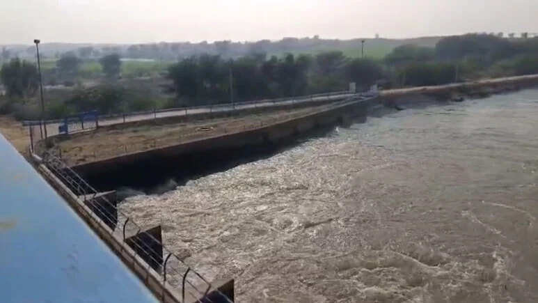 राजस्थान में गर्मी के साथ पानी का संकट, डीडवाना–कुचामन जिले में नहरबंदी से प्रभावित होगी सप्लाई