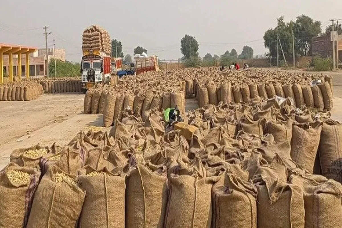 प्रदेश में कृषि उपज मंडियों के सुदृढ़ीकरण को बड़ा फैसला, 40.63 करोड़ के विकास कार्यों को मंजूरी