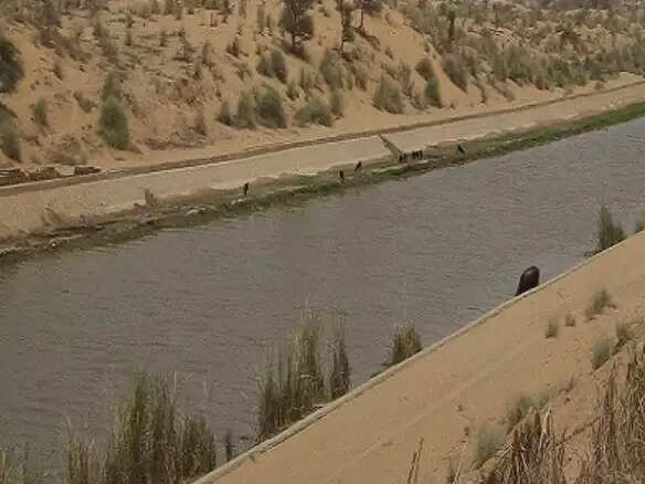 वीडियो में जाने&nbsp;इंदिरा गांधी नहर को कहा जाता है राजस्थान की जीवन रेखा ? पश्चिमी राजस्थान में क्या है इसका योगदान